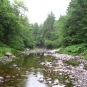 Colour photograph of brook, trees and rocks