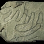 Colour image of gray rock with darker gray winding trail