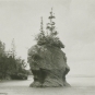 Photographie noir et blanc d’une haute formation rocheuse entourée d’eau et surmontée d’arbres