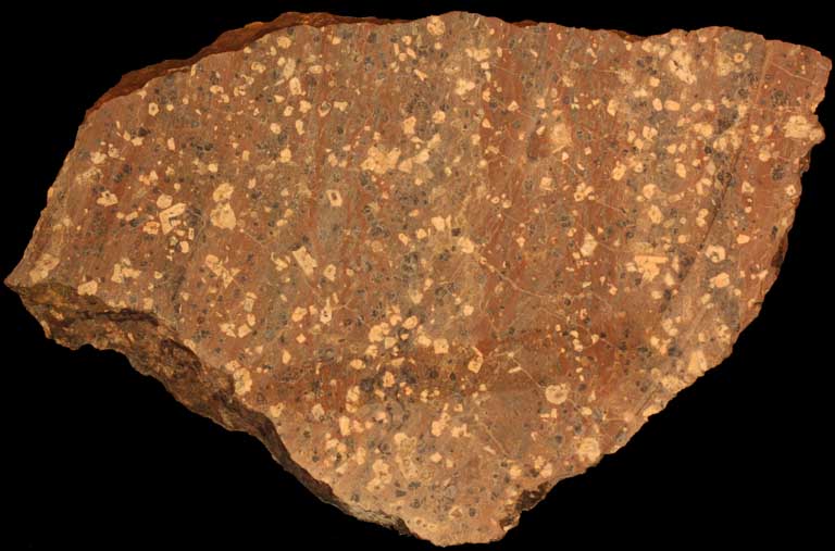Colour image of brown rock mottled with black and yellow spots