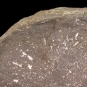 Colour image of brown rock with white spots