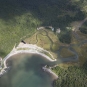 Photographie couleur d’une plage bordée d’une forêt verdoyante au bord de l’océan