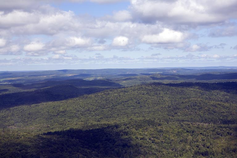 Colour photograph of green rolling hills and a cloudy sky