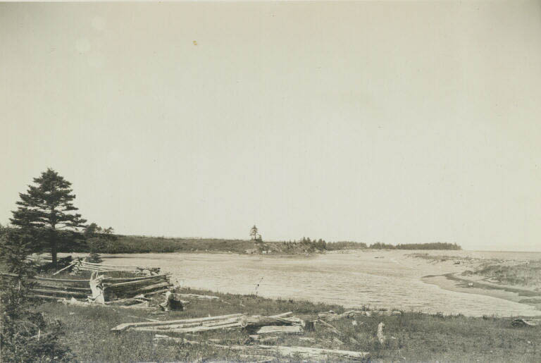 Black and white photograph of a beach on the ocean with trees
