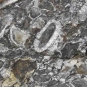 Colour photograph of a large gray rock boulder with white circles on it